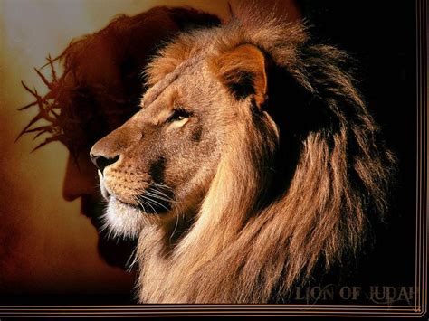 lion of judah screensaver.